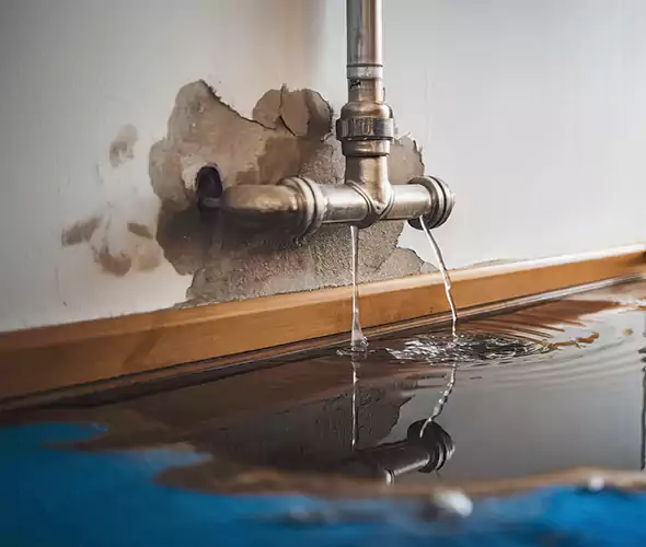 Professional Water Damage Restoration Experts in Campbell, CA — Fast, Reliable & Certified