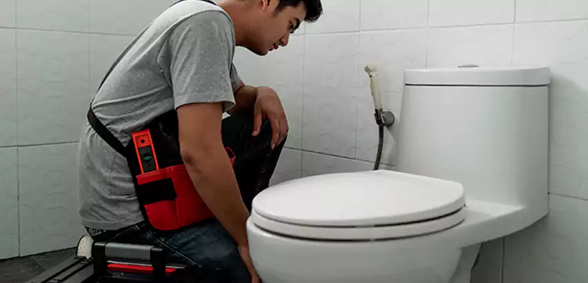Toilet Repair in Campbell