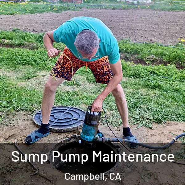  Sump Pump Maintenance Campbell, CA