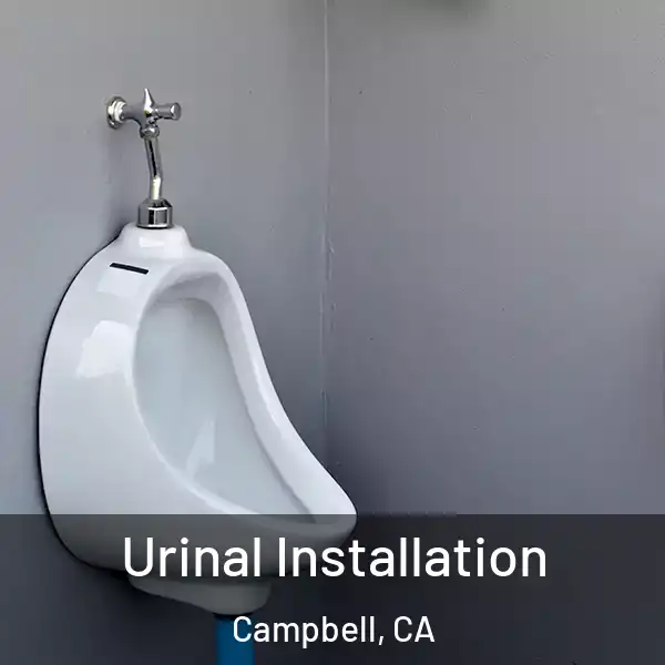  Urinal Installation Campbell, CA